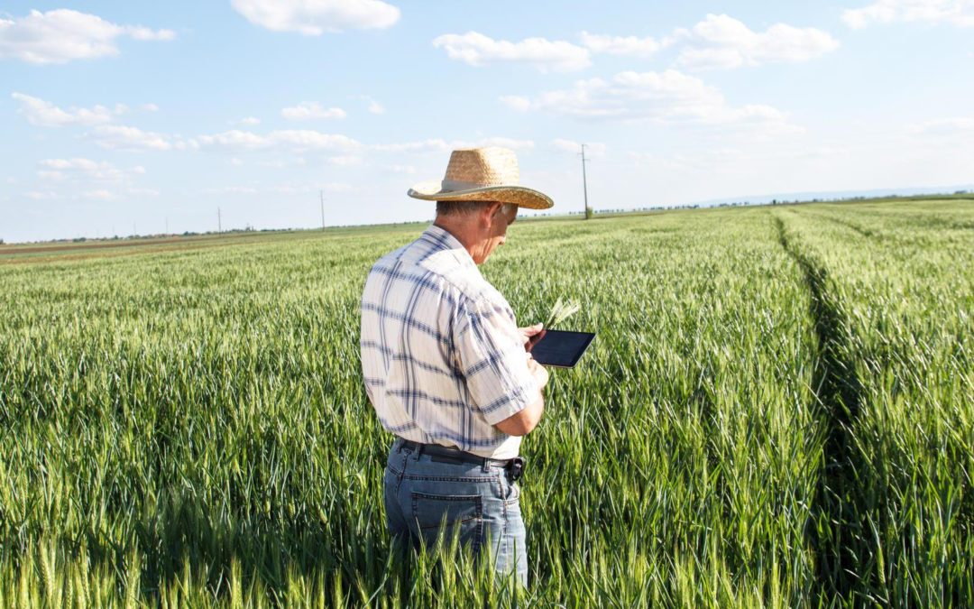 Der vernetzte Hof: Big Data in der Landwirtschaft